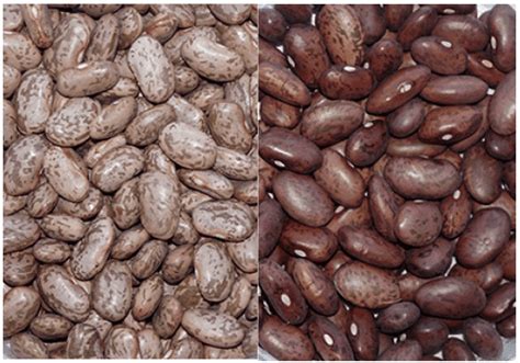 does baking soda help beans